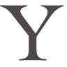 y.gif (6032 bytes)